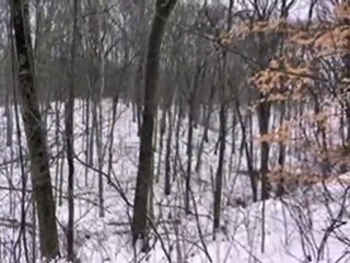 Homes for Sale - 0 700 North - Valparaiso, IN 46384 - Coldwe