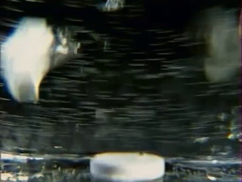 Les guerriers d'Hitler : Udet, l'aviateur 2/3