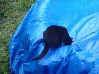 Penelope savoie aout 2010