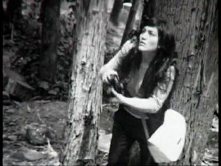 Jyukai "Mar de Árboles"