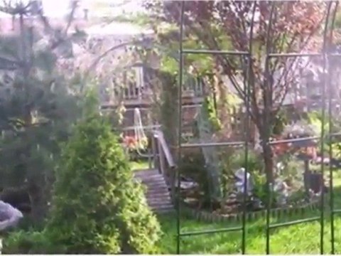 Homes for Sale - 3725 175th Pl - Hammond, IN 46323 - Coldwel