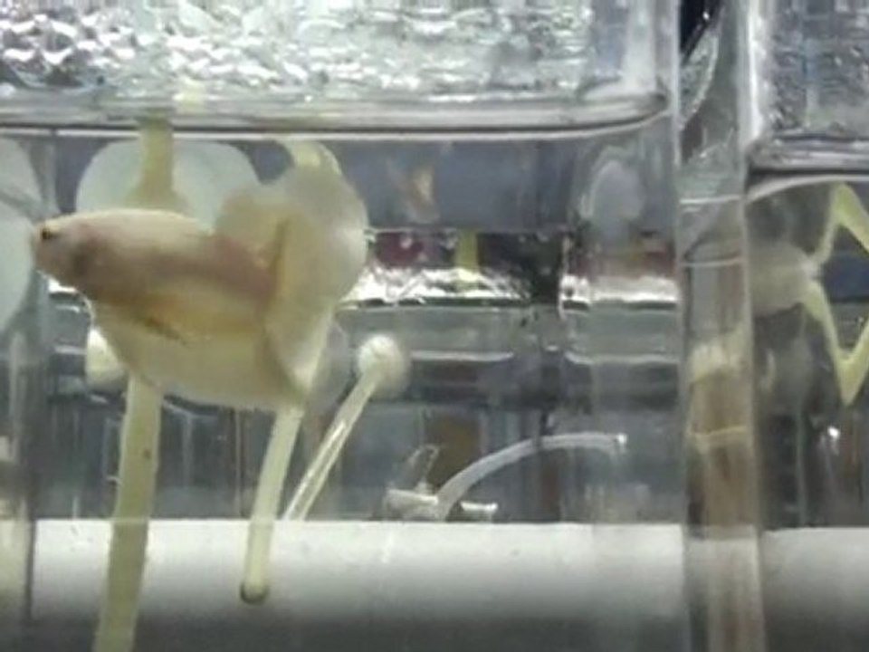 20101015144516