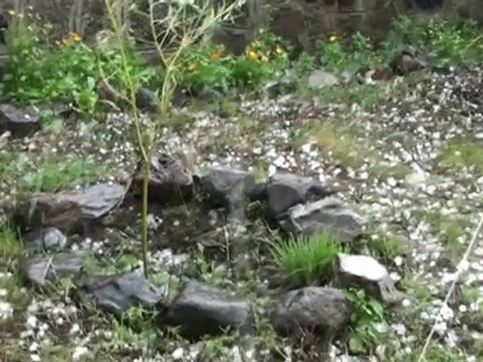 Fırtına Avcılar 2010 (2)