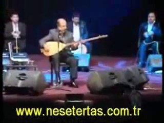 Neşer Ertaş Yolcu ( bir anadan dünyaya gelen yolcu)