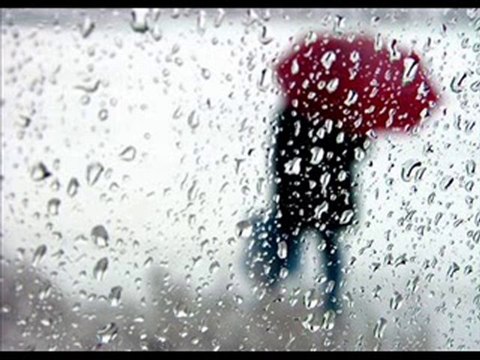 Funda Arar & Artık yeşerecek bir dalım yok ( paydos)