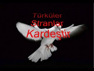 Hozan Beşir Kevoka Sipi