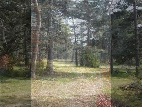 Beautés de Saint Jacques de Compostelle: Puy en Velay/Aubrac