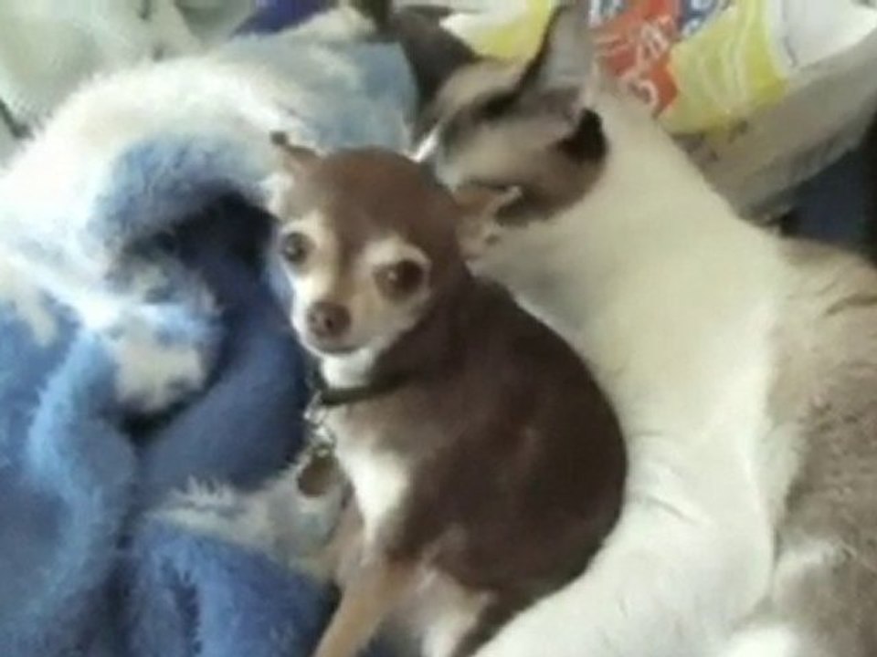 Aşkımızında bir sınır var :)