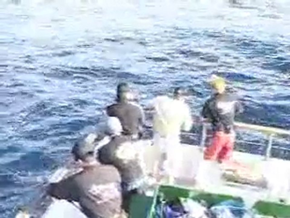 JİGGİNG (DİKEY SIRTI AVCILIĞI)8