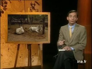 R. K. Narayan : Le professeur d'anglais