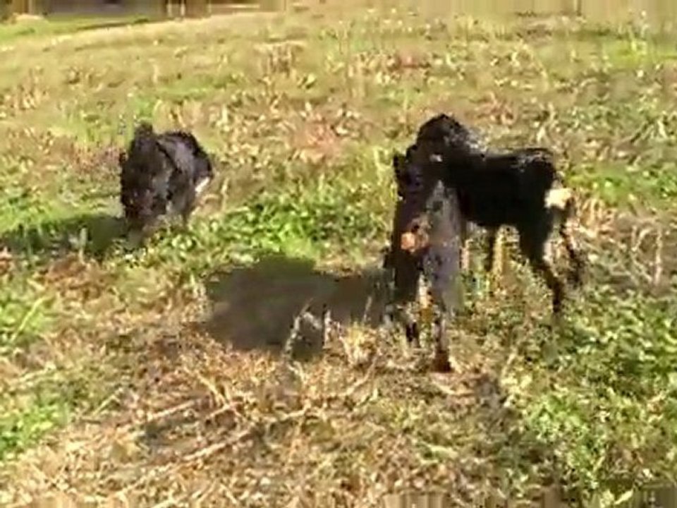 Fury, Upho et la corde