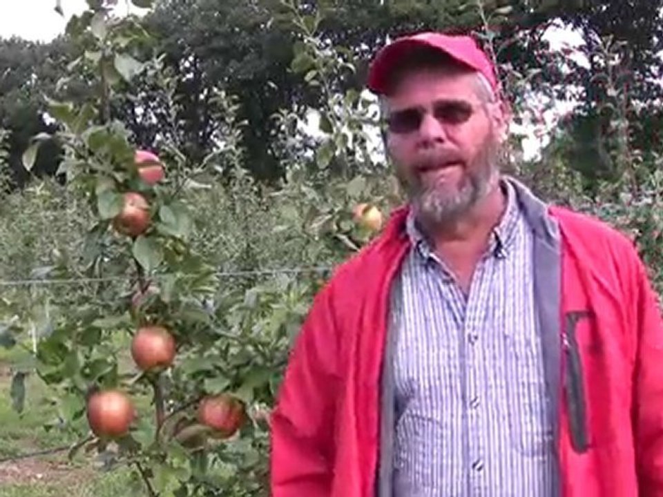 M9 Elma bahçesi 2 YIL