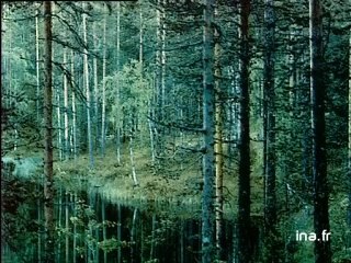 Georges Olivier Chateaureynaud : Le château de verre