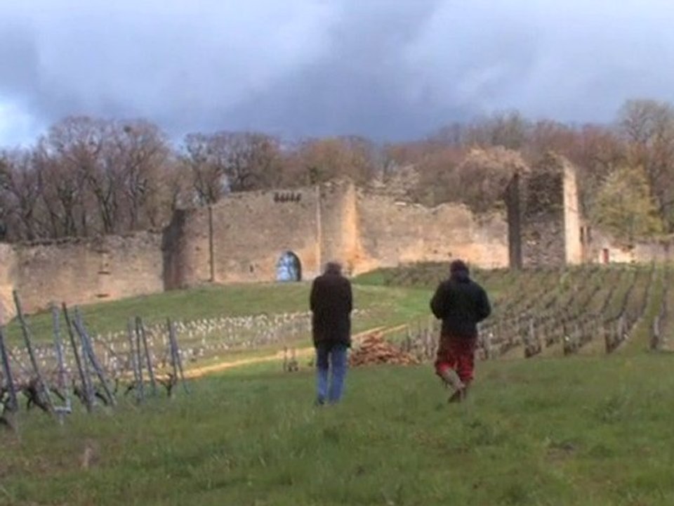 Château d'Arlay