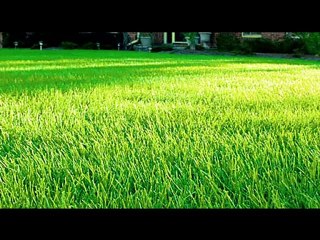Lawn Care Service Bergen County- Lawn Care Service