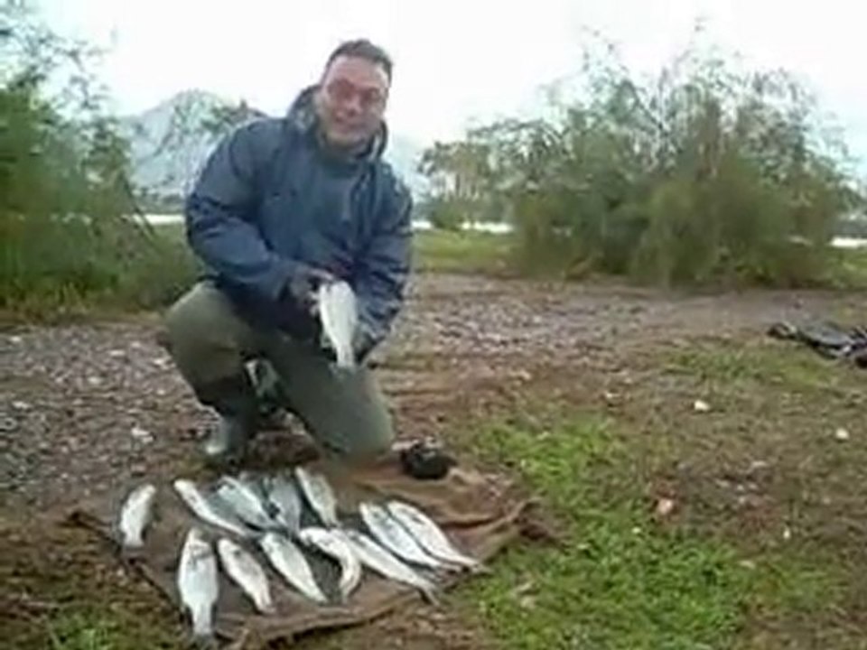 HürMol Levrek Avı