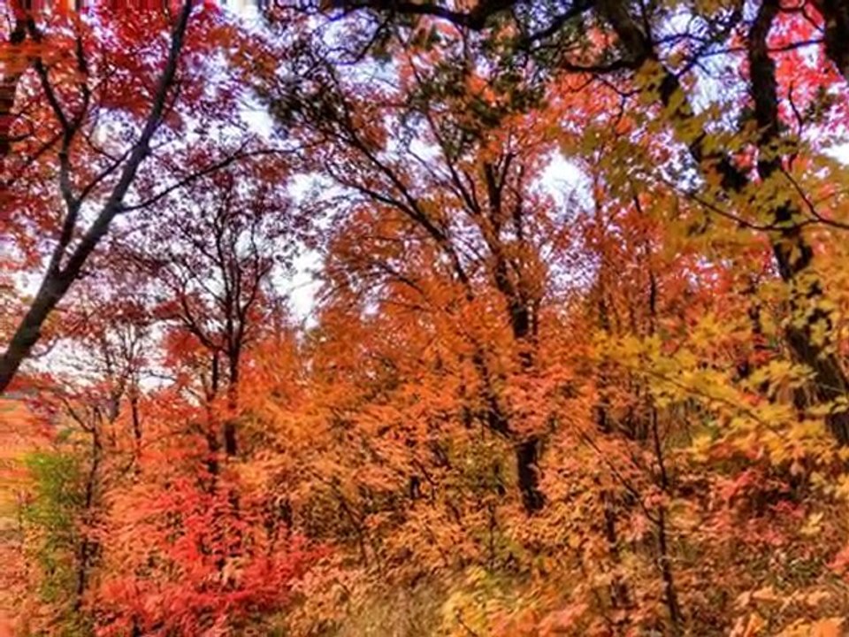 Gloire à Ton Nom Seigneur Jésus