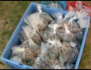 Huge Weapons Arsenal Seized in Mexico