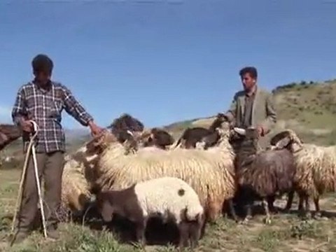 Anadolunun Kayip Sarkilari 1/5