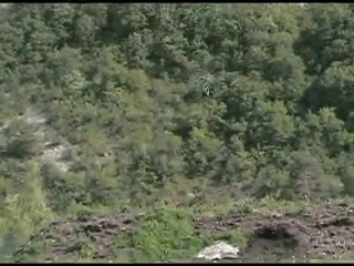 YVES crash T-rex250 26-05-2010.avi