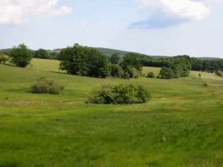 Les zones humides du Tarn