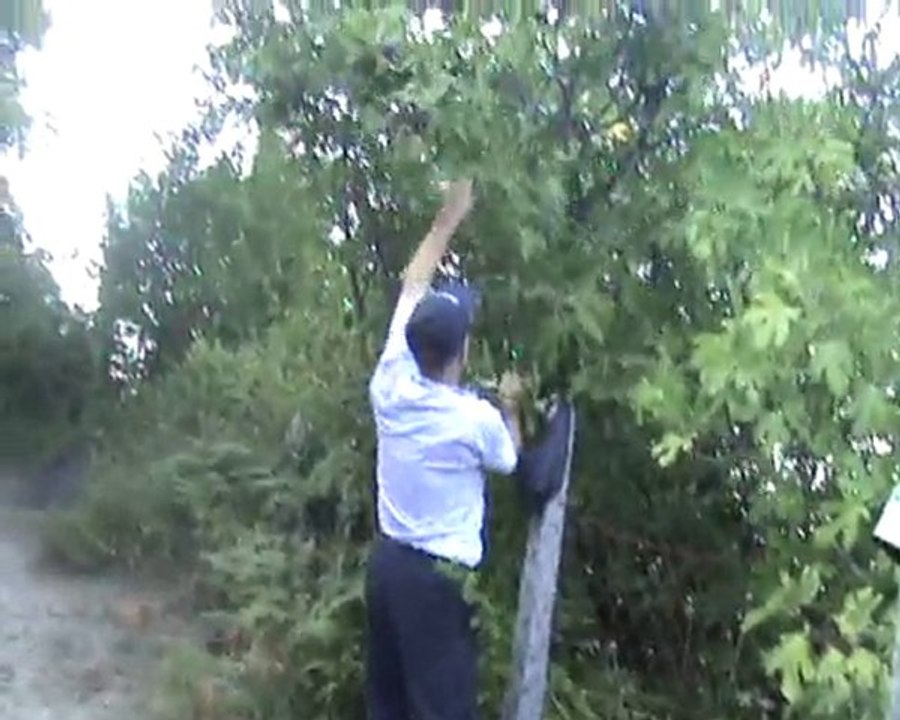 Gündoğduköyü ötököy ve paşbağ mahallesi