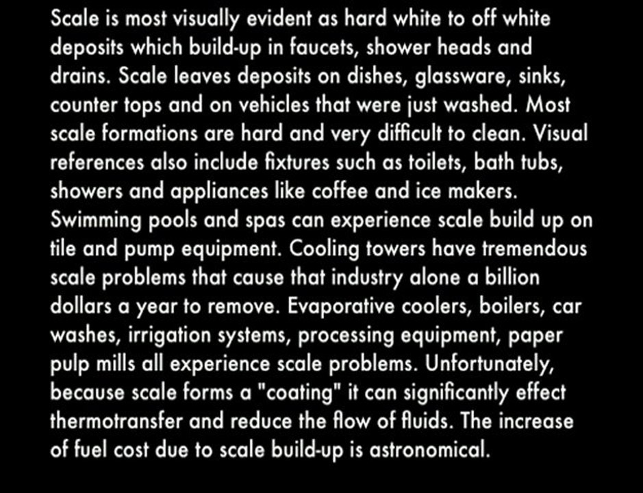 Scale Busters FAQ's About Pool Tile Cleaning