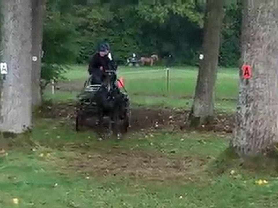 Championnat de Belgique d'attelage (Courrière 2010) (obs 5.)