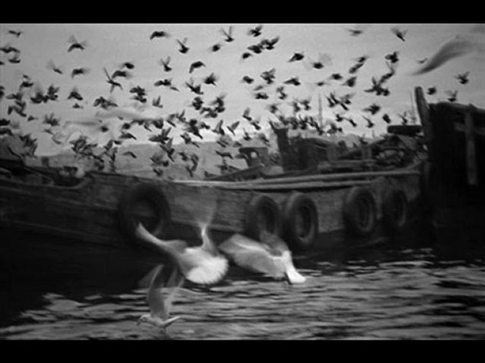 Yücel Arzen/ İçim Yanıyor.