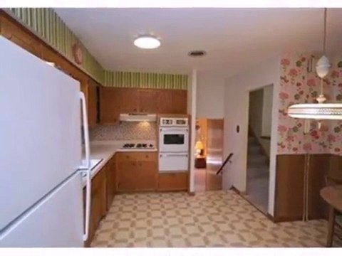 Homes for Sale - 5613 W 99th Pl - Oak Lawn, IL 60453 - Coldw