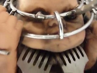 scarfos in my brain 2