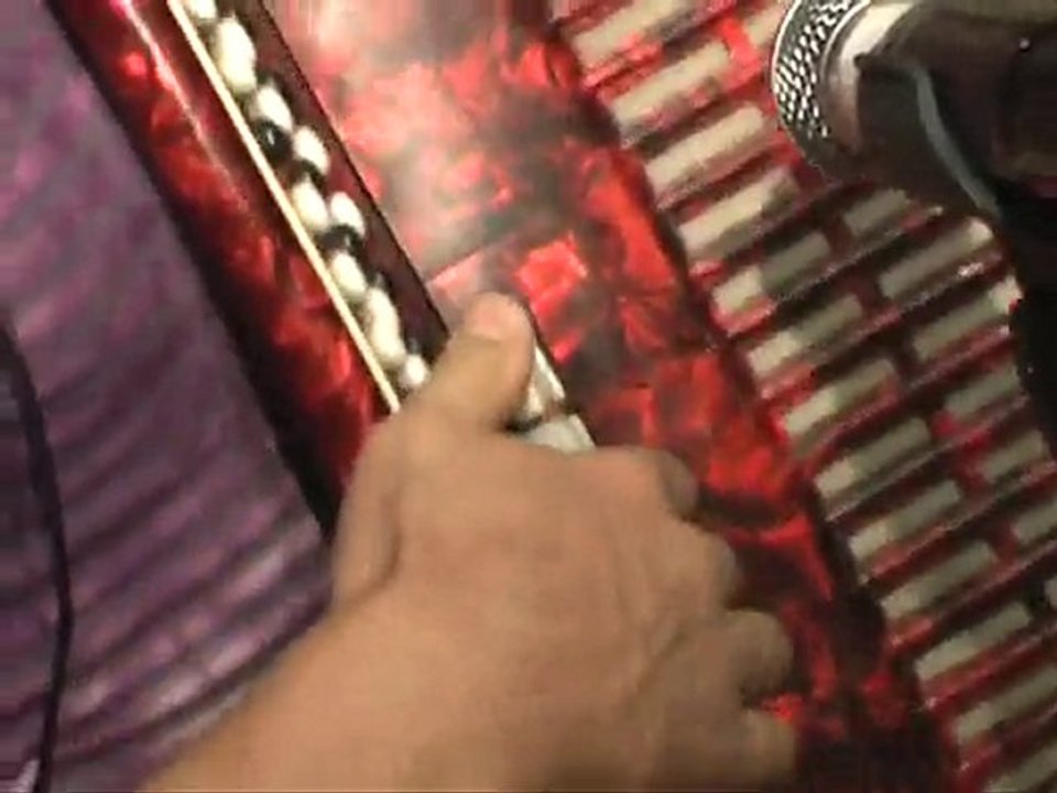 Играй гармонь