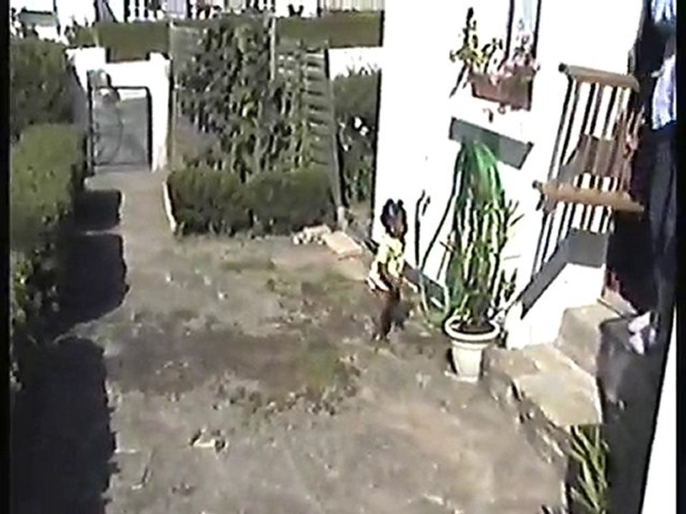 Capture(31)