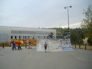 trot freestyle
