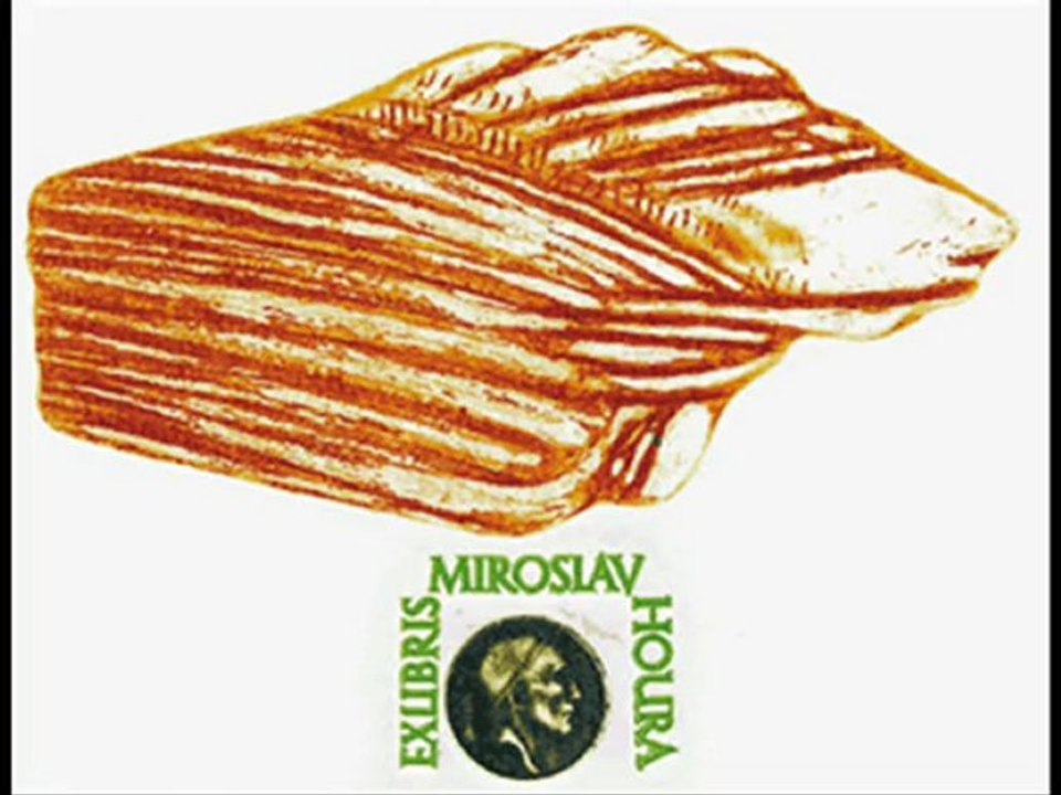 Mehmet Selçuk Gazioğlu'nun Hasip Pektaş videosu