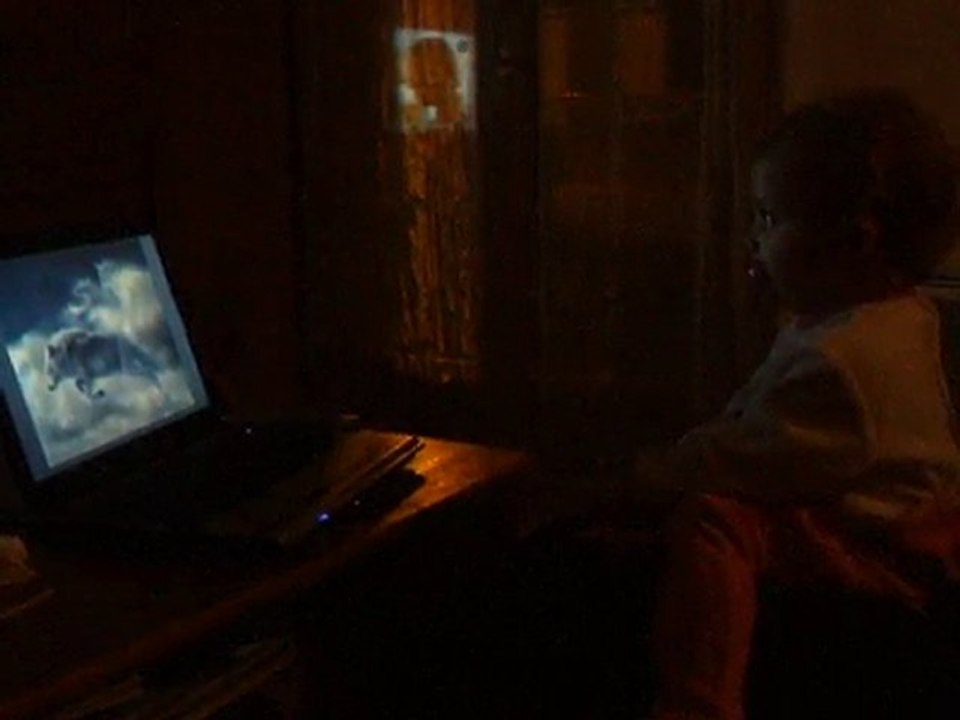 charline aime les loups