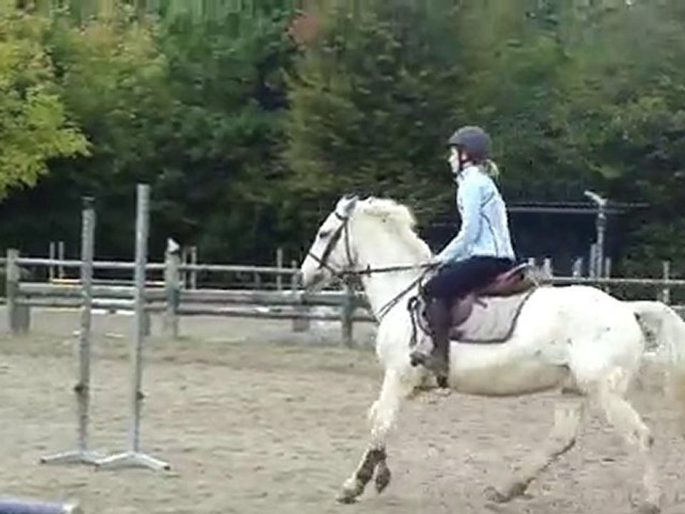 Lutin CSO entrainement