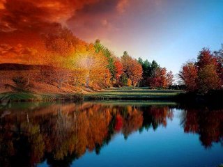 Love Poems - Ask Siiri Video