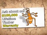 Tony’s Termites, Pest Control & Building Inspections