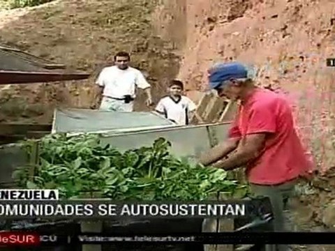 Agricultura urbana encuentra espacio en las comunidades venezolanas