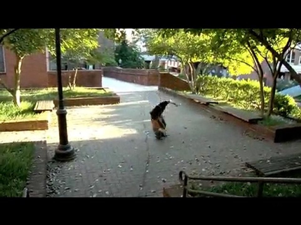 WFPF.COM- Crash Tour East Coast- Ep 2 Pt. 2