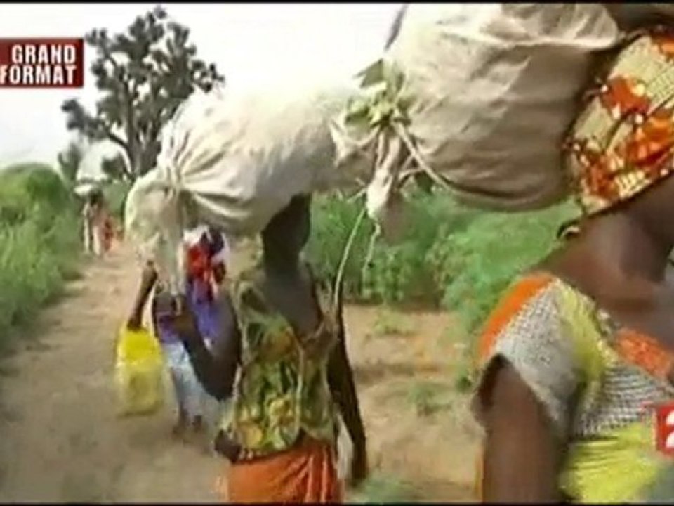 Une tentative de relocalisation de l'agriculture