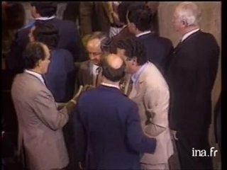 Infox? Intox? Un référendum au Brésil pour ou contre le retour de la monarchie