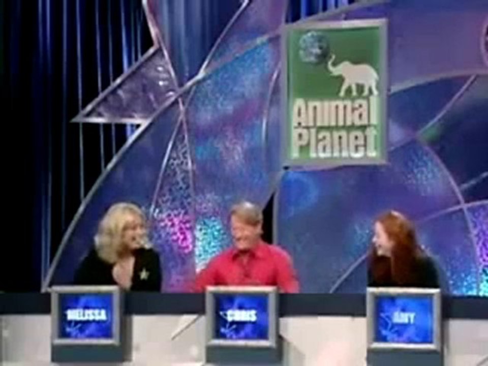 AMAZING Parrot Talking