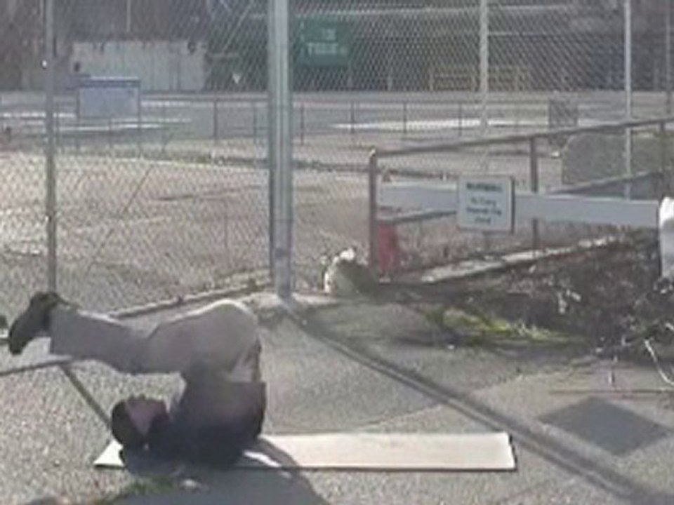 Tacfit Commando - Military Training Workouts Program