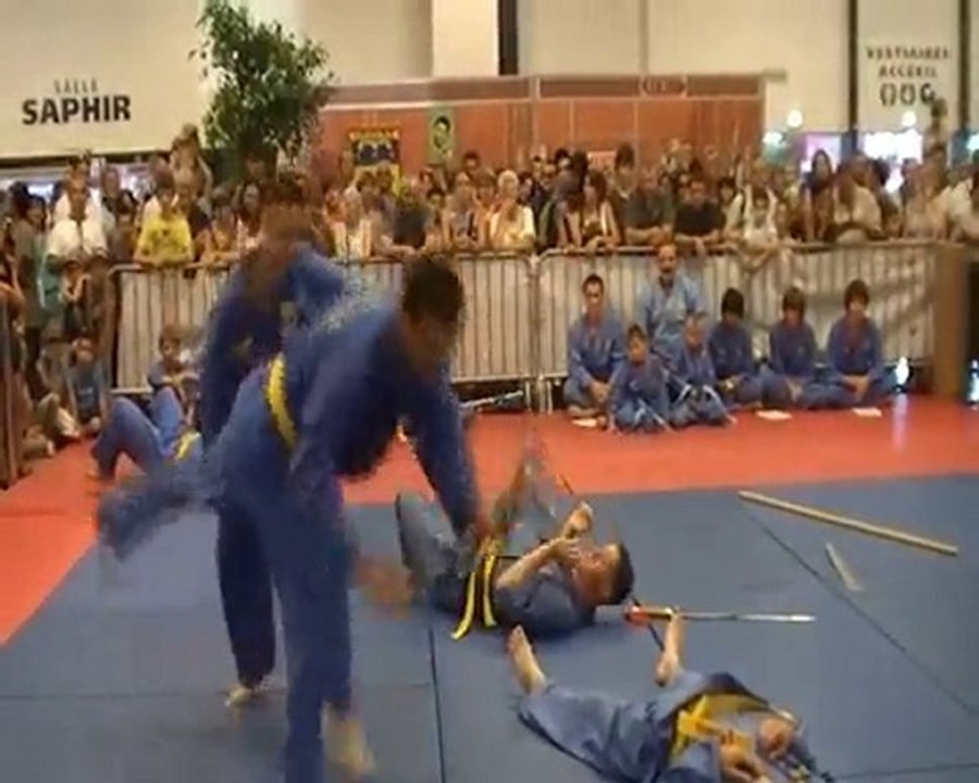 Carat2010_1