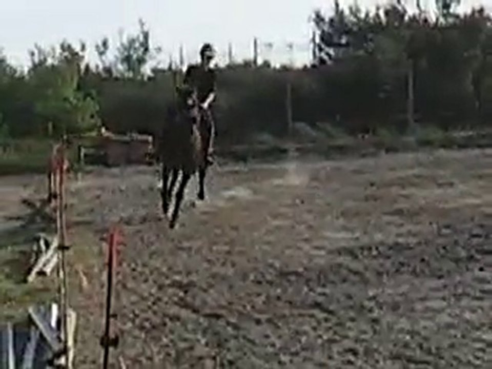 Manon de merval trotteur français  galop