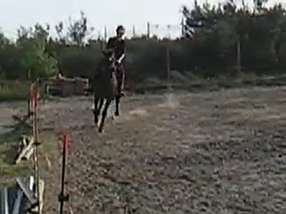 Manon trotteur français  galop