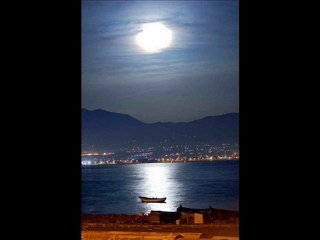 FIRAT ARABOĞA--DİLİM TUTULDU (DAMAR ŞİİR)