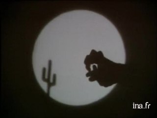 Pascal Baudoin "les ombres chinoises"